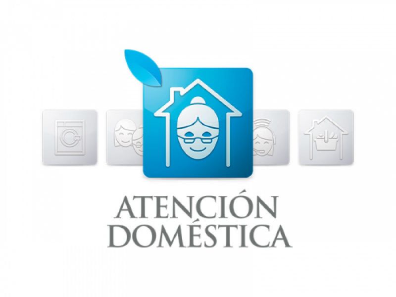 Asistencia Domestica